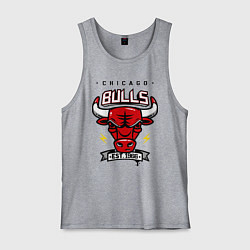 Мужская майка Chicago Bulls est. 1966