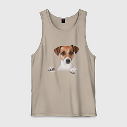 Майка мужская хлопок Собака, цвет: миндальный