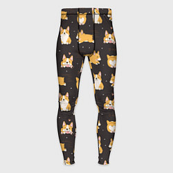 Мужские тайтсы Вельш корги бемброк - забавные щенки паттерн