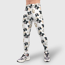 Тайтсы мужские Бордер Колли, цвет: 3D-принт — фото 2