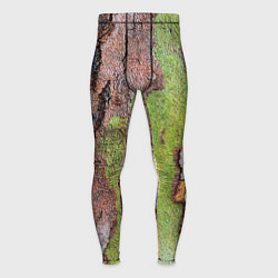 Тайтсы мужские Кора дерева, цвет: 3D-принт