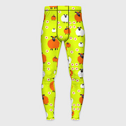 Мужские тайтсы Стадо овец в поле