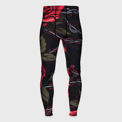 Мужские тайтсы Череп и красные розы