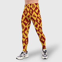 Тайтсы мужские Гарри Поттер факультеты, цвет: 3D-принт — фото 2