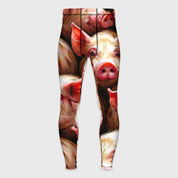 Мужские тайтсы Поросята