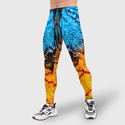 Тайтсы мужские Макро крыло бабочки, цвет: 3D-принт — фото 2