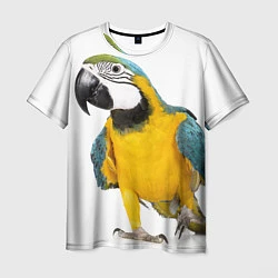 Футболка мужская Попугай ара, цвет: 3D-принт