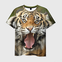Мужская футболка Удивленный тигр