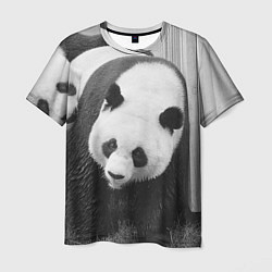 Мужская футболка Большая панда
