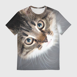 Мужская футболка Кошачий взгляд