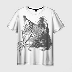 Мужская футболка Кошка: карандаш