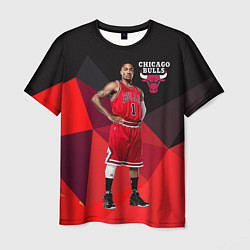 Мужская футболка Chicago Bulls