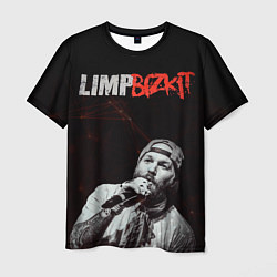 Мужская футболка Limp Bizkit