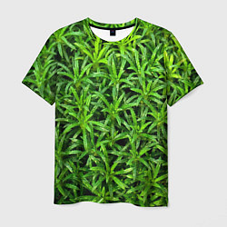 Мужская футболка Растения