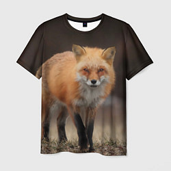 Мужская футболка Хитрая лисица