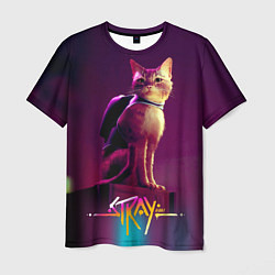 Мужская футболка Stray cat кот бродяга