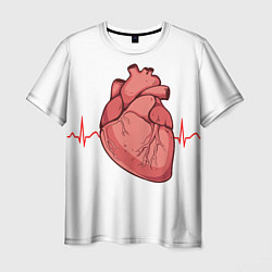 Мужская футболка Анатомия сердца