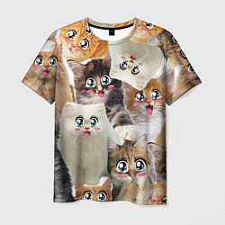 Мужская футболка Много кошек с большими анимэ глазами