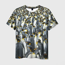 Мужская футболка Пингвины Penguins