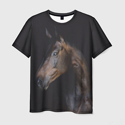 Мужская футболка Лошадь Благородство