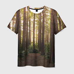 Мужская футболка Дневной лес, деревья и свет