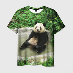 Мужская футболка Панда отдыхает в ванной