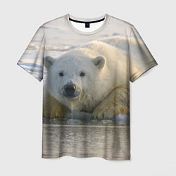 Мужская футболка Белый медведь ожидает
