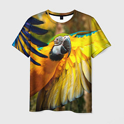 Футболка мужская Взлёт попугая, цвет: 3D-принт