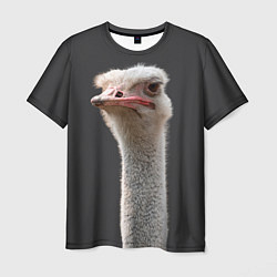 Мужская футболка Голова страуса