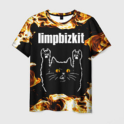 Футболка мужская Limp Bizkit рок кот и огонь, цвет: 3D-принт