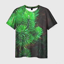 Мужская футболка Зелёный лес России