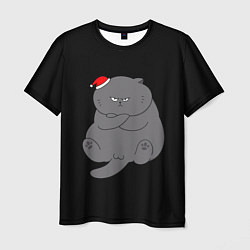 Мужская футболка Толстый новогодний кот