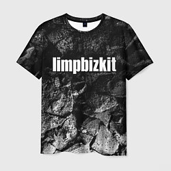 Футболка мужская Limp Bizkit black graphite, цвет: 3D-принт