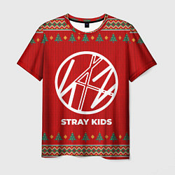 Футболка мужская Stray Kids new year, цвет: 3D-принт