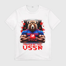 Футболка мужская USSR медведь, цвет: 3D-принт
