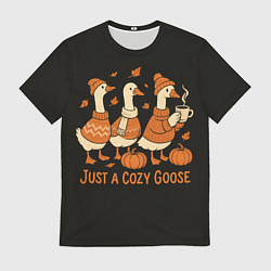 Мужская футболка Осенние гуси