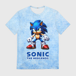 Мужская футболка Sonic - синий ёж