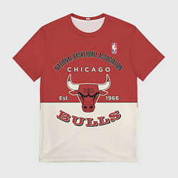 Мужская футболка NBA Bulls Vintage