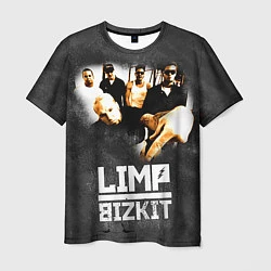 Мужская футболка Limp Bizkit: Rock in to you