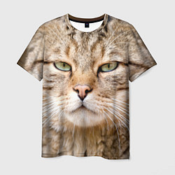 Мужская футболка Взгляд кошки