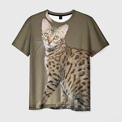 Мужская футболка Пятнистый котик