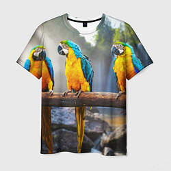 Мужская футболка Экзотические попугаи