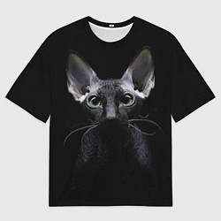 Футболка оверсайз мужская Сфинкс 2, цвет: 3D-принт