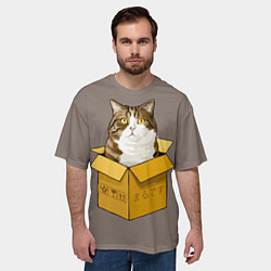 Футболка оверсайз мужская Котик в коробке, цвет: 3D-принт — фото 2