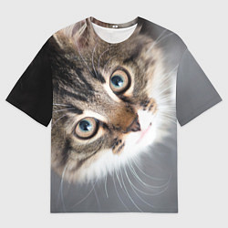 Мужская футболка оверсайз Кошачий взгляд