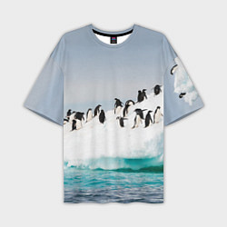 Мужская футболка оверсайз Пингвины на айсберге
