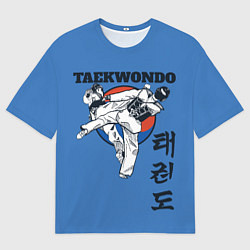 Футболка оверсайз мужская Taekwondo, цвет: 3D-принт