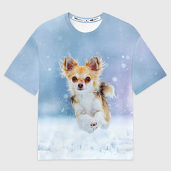 Мужская футболка оверсайз Чихуахуа в снегу