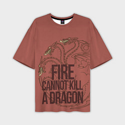 Мужская футболка оверсайз Fire Cannot Kill a Dragon
