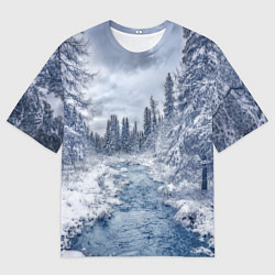 Футболка оверсайз мужская СНЕЖНЫЙ ПЕЙЗАЖ, цвет: 3D-принт